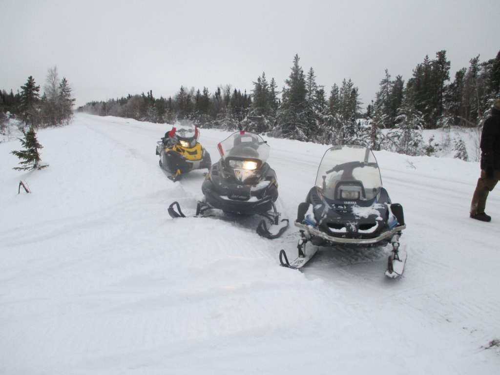 skidoo line up